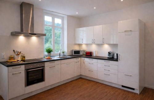 Charmante Zollhaus-Wohnung - 2 bis 3 Gäste nähe Schweiz - Foto 7