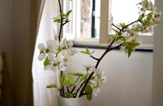 Agriturismo il Mulino - Foto 31