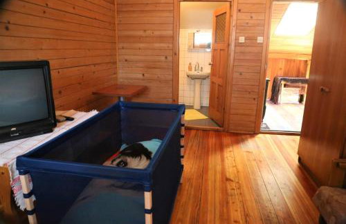 Gospodarstwo Agroturystyczne Stary Młyn Wilczkowice - Foto 49