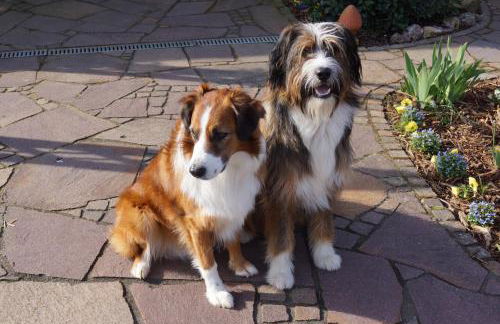 Fuchsia Lodge - Foto 8