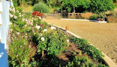 Studio GECKO Pego Longo - Foto 5