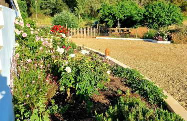 Studio GECKO Pego Longo - Foto 5