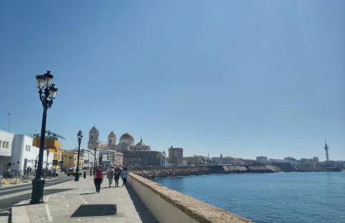 Casa en Plaza de la Merced_Centro Flamenco_Cádiz - Foto 32