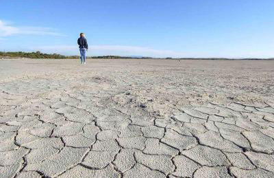 Ale house experience - Foto 16