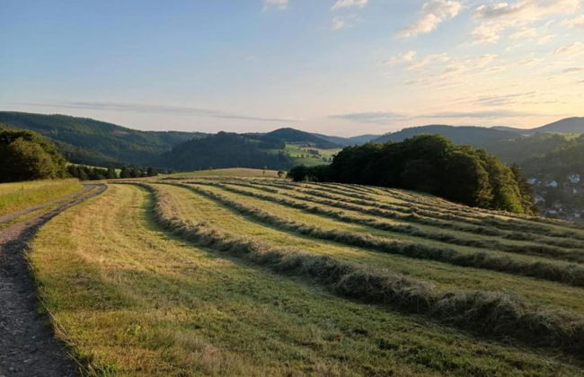 Holiday Home in Willingen Near Ski Slopes - Photo 33