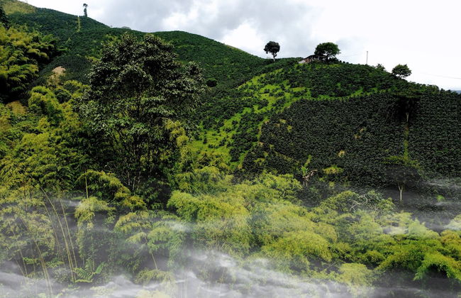 Eco Hotel Glamping El SIlencio - Foto 15