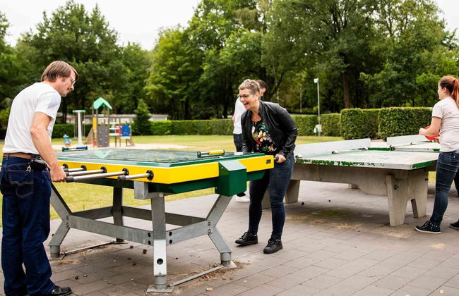 Luxury Chalet With Dishwasher, in a Holiday Park in the Middle of De Veluwe - Foto 32