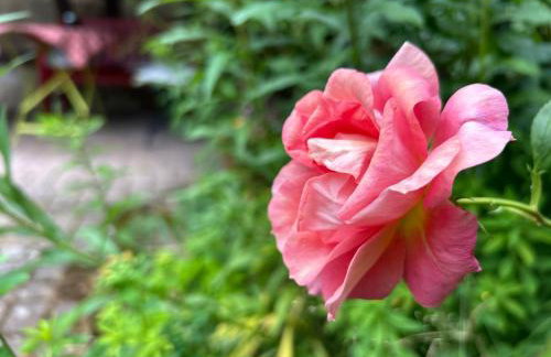 Wohnen & Kunst - Foto 26