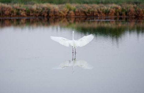 Agriturismo Casa Fiorindo - Foto 23