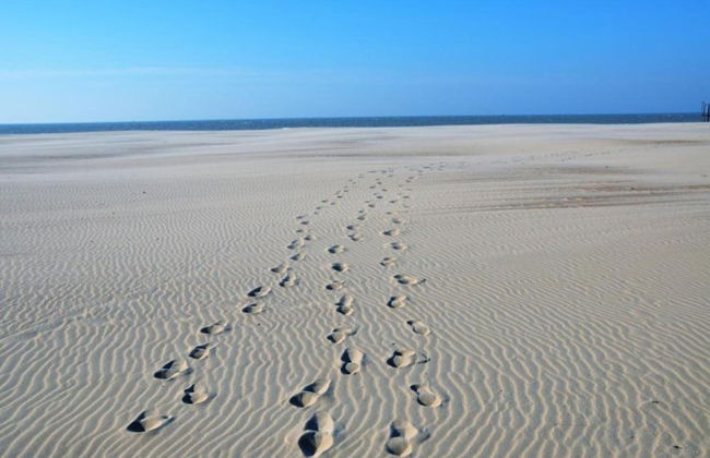 Apartment in Ostend Near North Sea - Foto 24