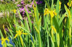 The Lodge at Fairfield Court - Foto 2