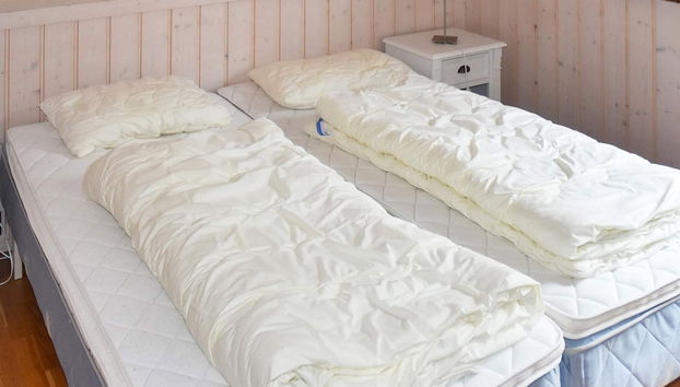 Holiday Home in Gursken - Foto 4