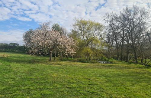 Scottish countryside Bothy - Photo 10