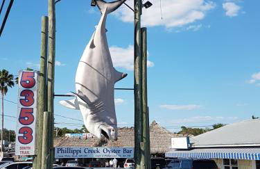 LUX VILLAs on beautiful Palmer Ranch - Foto 36