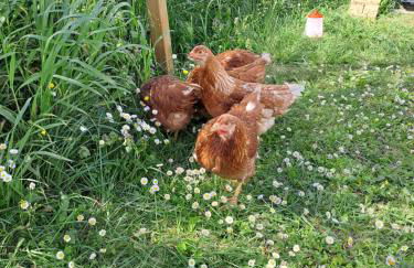 Dory's apartment - Foto 30