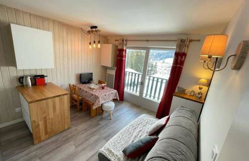 Studio ski aux pieds vue superbe sur les pistes - Foto 8