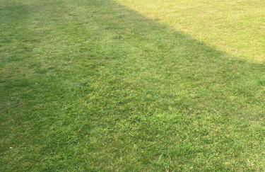 Studio Flat in Walsall with Option of Large Garden for Events - Foto 33