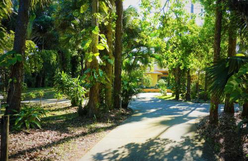 JUPITER WATERFALLS - NEWLY UPDATED - TIKI HUT, FIRE PIT, KITCHEN, POOL HEATER and MORE - Photo 12