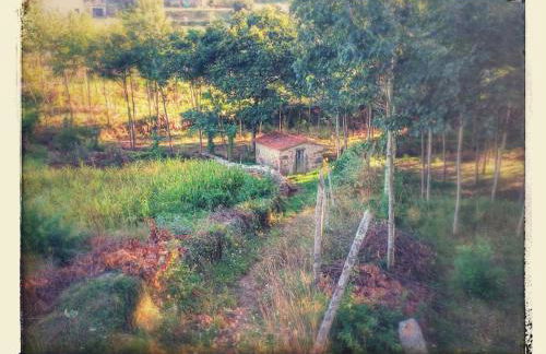 Quinta do Tojal - Tourism immersed in nature! - Foto 12