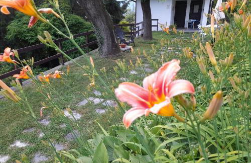 Balconata sul lago - Foto 50