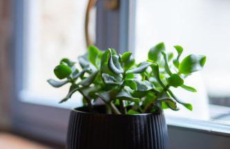 Loft by Villa di Piazza - a home you won’t forget - Foto 6