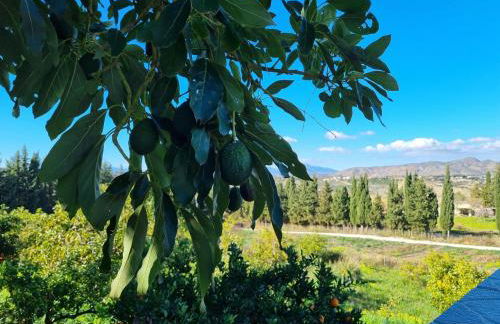 Finca Vista El Montanes - Photo 64