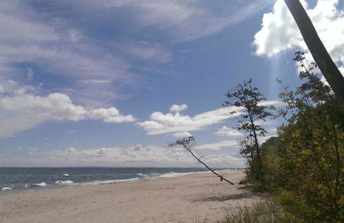 Alter Schulgarten - Foto 29