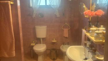 Casa de Arvore - Foto 4