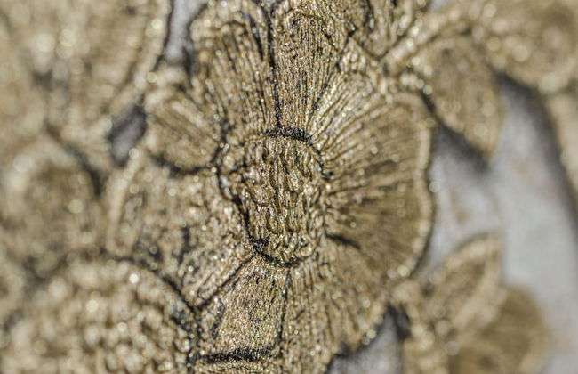 Casa Morgado Esporão - Foto 61