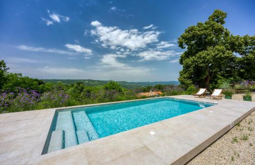 Stone Villa Istria Private Pool Paradise - Foto 4