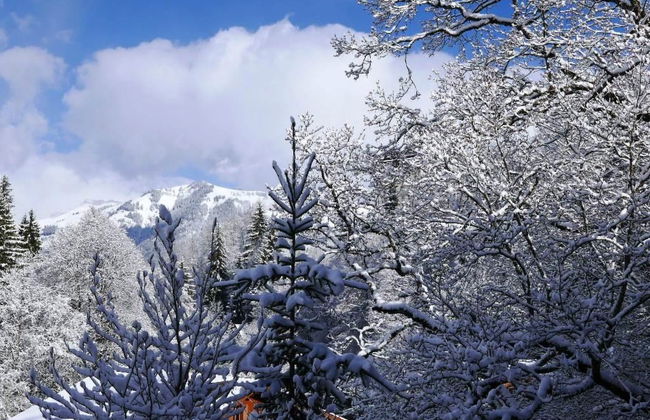 Tree-Tops, Chalet - Foto 17