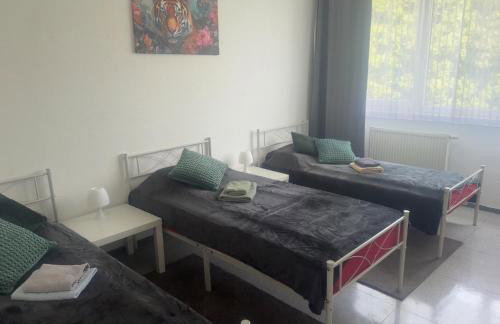 Ferienwohnung Mainz Bahnhof - Photo 7