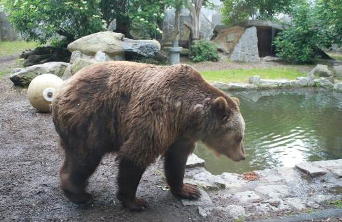 City Apartment Bischofswerda Holliday and Work - Foto 17