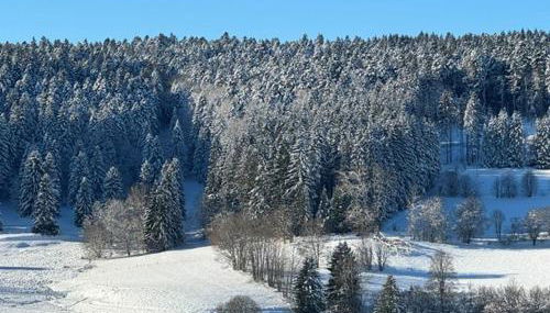 Ferienwohnung - Hotzenhüsli - Foto 3