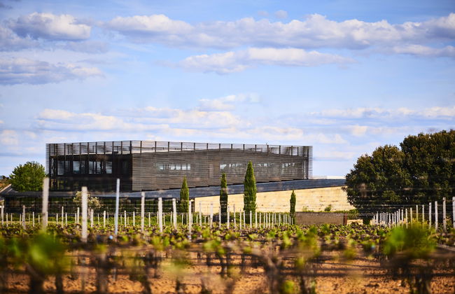 Bodega Bela - Villalba de Duero (Burgos) - Photo 2