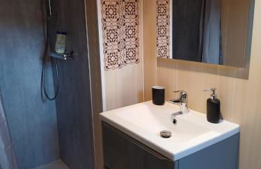 Les Hirondelles du MAMBOURG - Foto 17