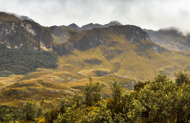 Cajas National Park Hiking Activity - Foto 6