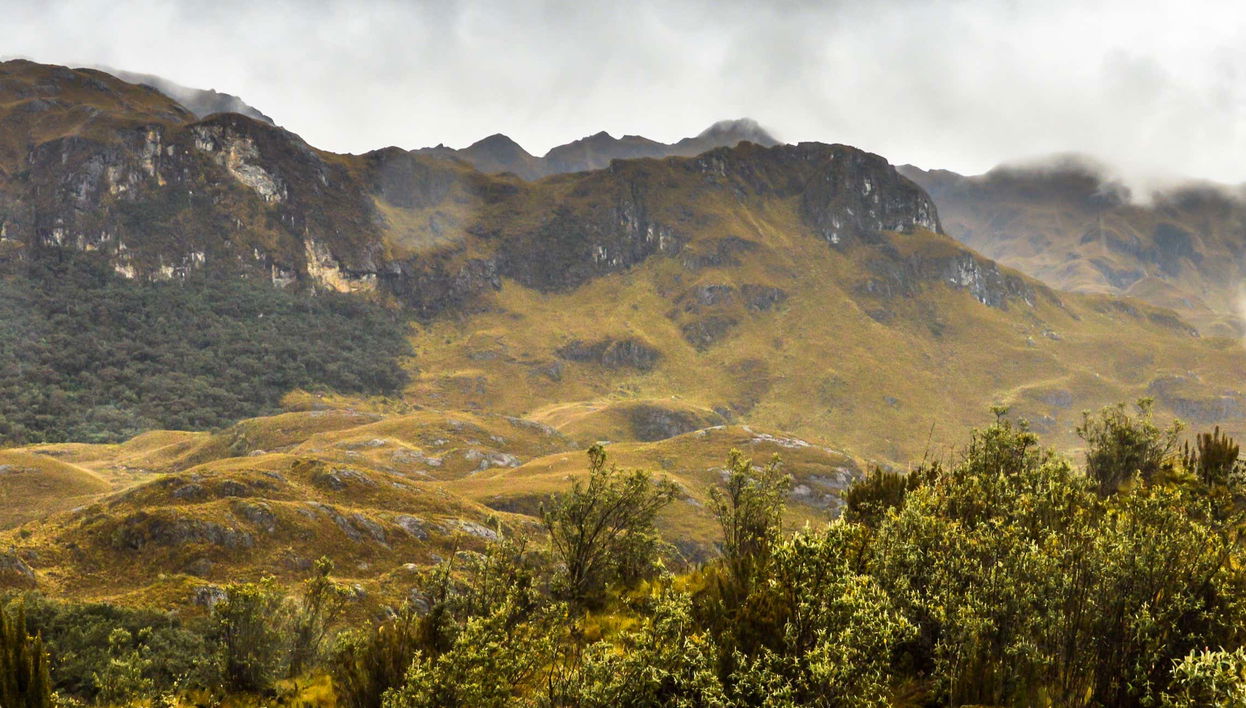 Cajas National Park Hiking Activity - Foto 1