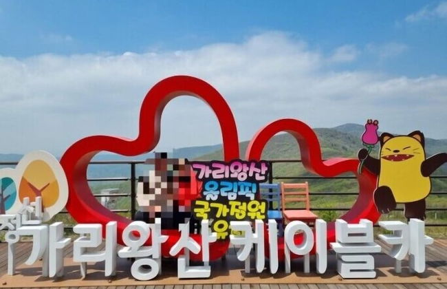 Pine Forest - Photo 11