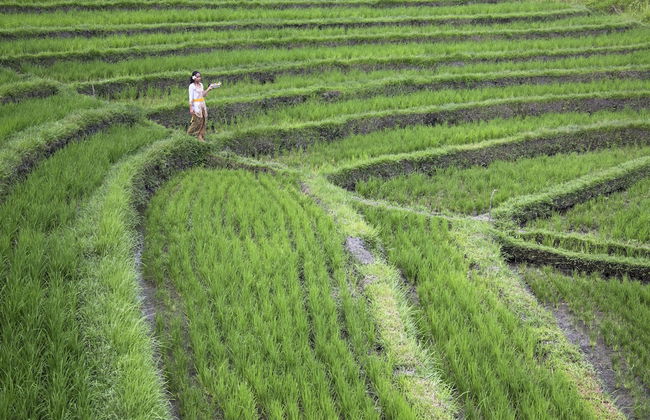 Villa CinCin - Foto 62