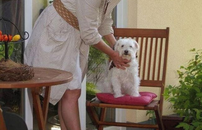 Frankenwaldhaus Comfortable Holiday Residence - Foto 42