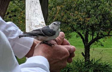 Hideaway from the Twin Cities - Foto 15