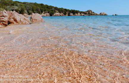 CASA MUGHETTO R5055 WiFi, seafront, private sea access, swimming pool - Foto 37