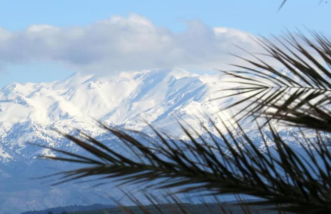 Meli Milon Villa - Foto 29