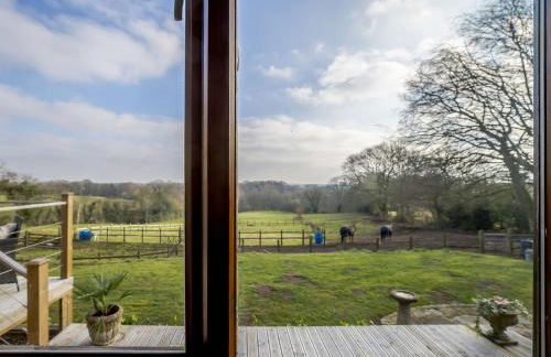 1 Bed in Whitegate 91266 - Photo 19