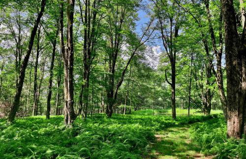 Red Tail Ridge - Foto 58