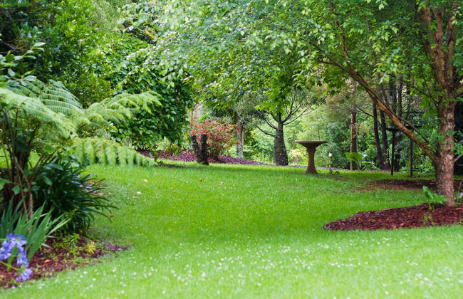 Mt Glorious Getaways - Foto 47