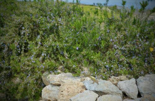 Villa Chiara - Foto 37