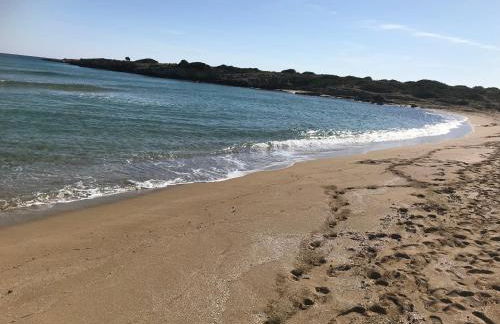 Villa Vincenza - Photo 5