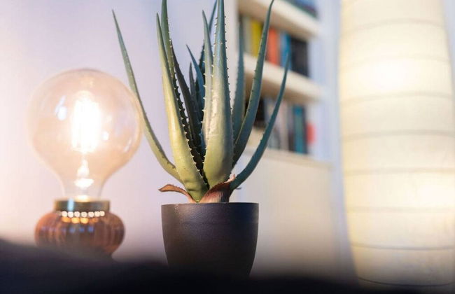 Mary Street Seaside Home in Stonehaven Aberdeenshire - Foto 10